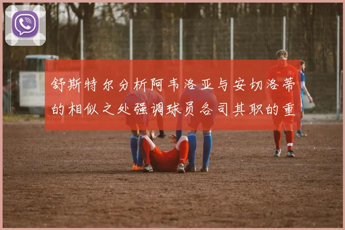舒斯特尔分析阿韦洛亚与安切洛蒂的相似之处强调球员各司其职的重要性