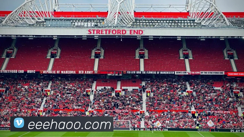 星空最新官方网址平台生态图