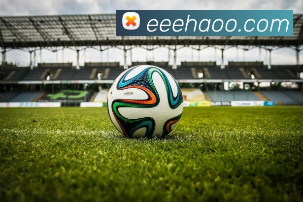 数据防护可视化